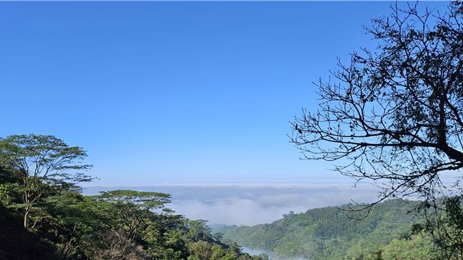 北大武山的云海，相当漂亮。（罗琦文摄）