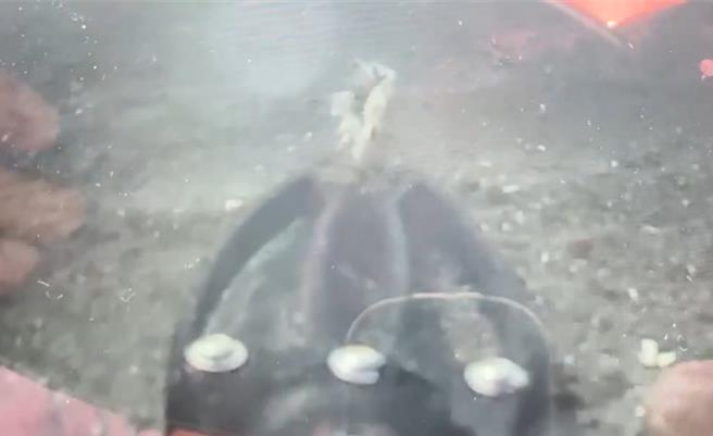 機械手臂在水中夾取尋獲的魚皮組織。（民眾提供／郭良傑高雄傳真）