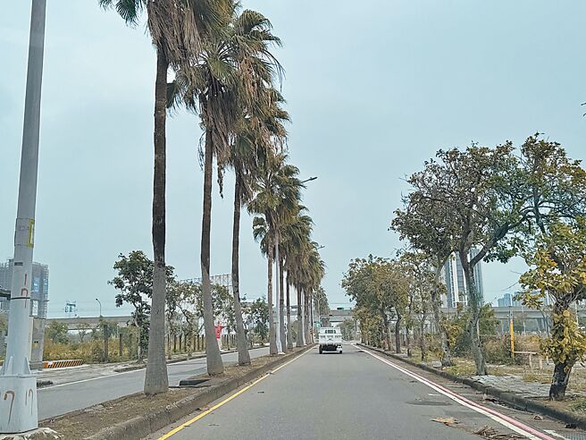 台南市从去年底迄已核定10条新道路以姊妹市、友谊市命名，归仁高铁特定区未来将有「西柯纹纳街」、「土浦街」等新路名。（曹婷婷摄）