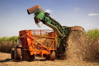 躺甘蔗田被捲進收割機 15歲少年慘遭「腰斬」亡