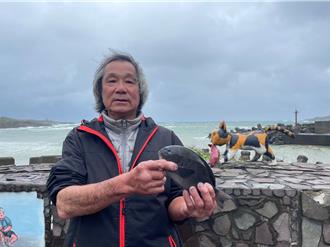 東北角限定！冬季「黑毛」肥美上市 饕客們準備開吃