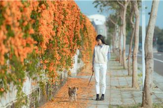 嘉义市旅宿破百家！美食、美景、文化 观光魅力大爆发