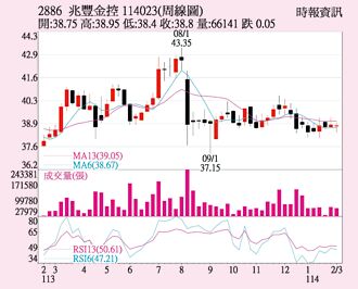 兆豐金 子公司獲利佳