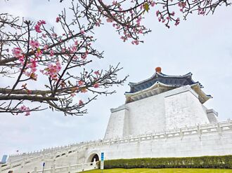 走春賞櫻 實測新機功能