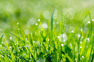 周二「雨水」4生肖注意健康 忌大動肝火