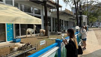 獨家》高雄中央公園竟變動物園？ 業者疑先斬後奏 市府急喊卡