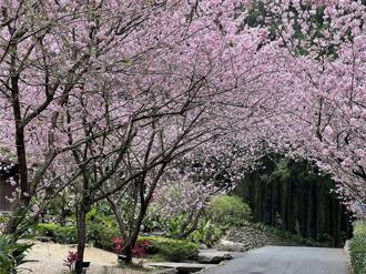 漢來日月行館推賞櫻住房專案 結合九族文化村門票與接駁服務