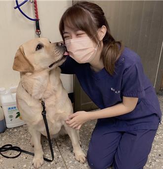 警犬退休不孤单！新北动保处赠白金卡 终身享健康照护