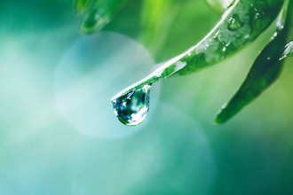 4生肖「雨水」後走好運！屬狗貴人提攜 事業升級