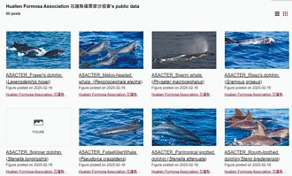 花蓮科研UP 51筆鯨豚聲音免費聽