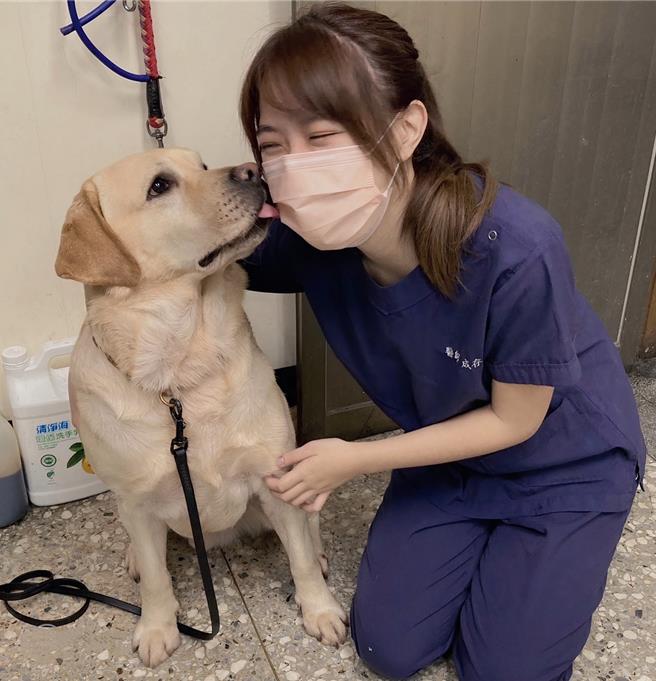 新北市動保處獸醫師為警犬健康檢查，親密互動。（新北市動保處提供）