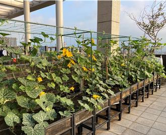 新北低碳社區認證即起受理申報 最高可獲40萬補助