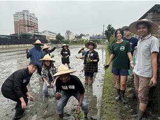 崇光國小「插秧趣」體驗農家樂 興大9外籍生讚「有趣」笑聲不斷
