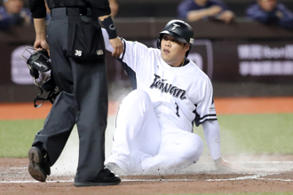 WBCQ》陳子豪、林盛恩遭割愛原因曝光 28人名單應不會調整