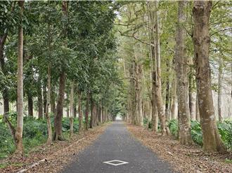 屏東推動低碳旅遊 糖鐵自行車道綠美化計畫開工