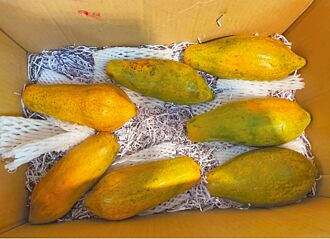 日春木瓜牛奶 查无发霉食材