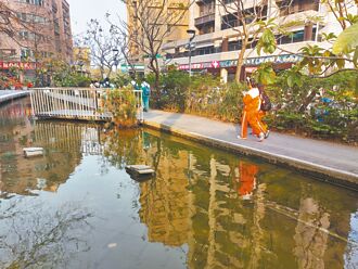 寒流來 蘆洲運動中心魚群暴斃