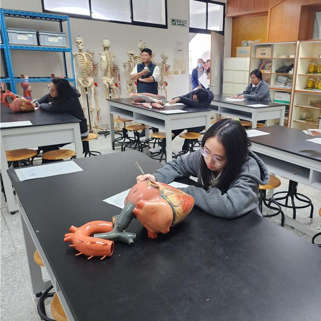 慈济大学去年开设「学士后护理学系」，是东部唯一，共吸引宜花东等县市29人就读。（慈济大学提供／罗亦晽花莲传真）