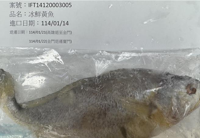 「阳澄之王有限公司」自中国大陆输入的冰鲜黄鱼，在边境检出2种抗生素不合格，产品共6080公斤必须在边境退运或销毁。（图／食药署）