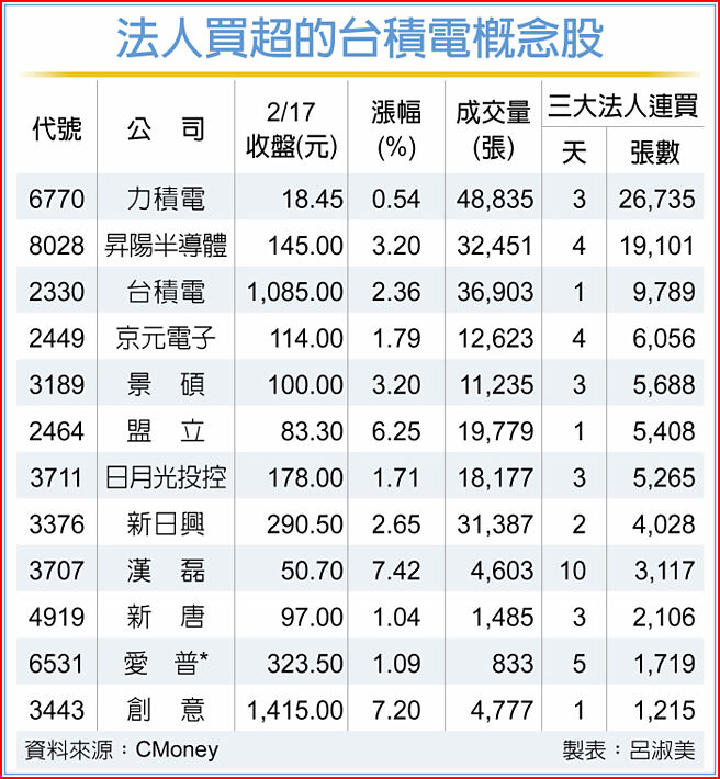 法人買超的台積電概念股