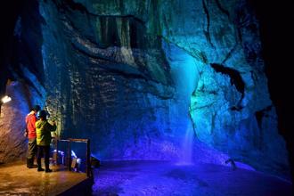 日本三陸沿海見證震後重生 山茶花成希望象徵、醉仙酒造續傳承