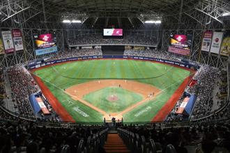 「髮香区」观战超夯！韩国棒球之旅4月开跑 赏樱吃美食尽兴玩