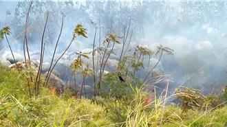 台東農地突發雜草火警！火光濃煙狂竄 消防隊急灌救