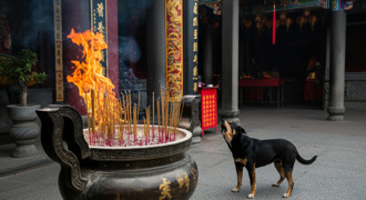 北斗天后宮天公爐旁「黑狗狂吠」！ 鑑識這根：竟是人骨