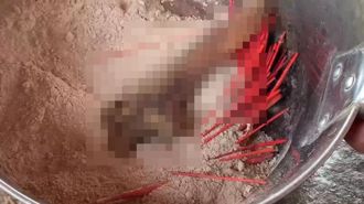 「紅色硃砂畫線」下降頭？ 北斗天后宮天公爐清出15公分人骨 