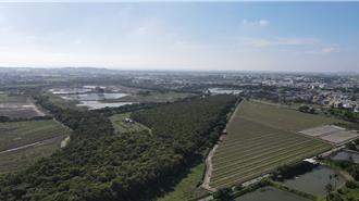 高雄白埔產業園區環評過關 市府承諾：兼顧經濟與生態平衡