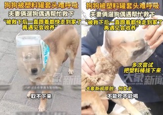 驚見「太空狗」無法飲食　陸夫妻好心協助脫困