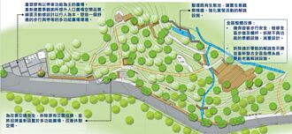 土城桐花公園 分區施工保花季觀光