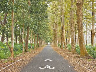 屏東 糖鐵單車道著手綠化 推低碳遊