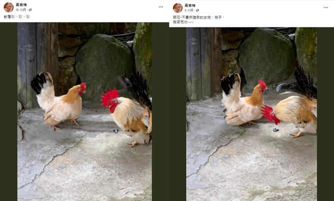 S妈曾发文暗批具俊晔。（图／翻摄自脸书）