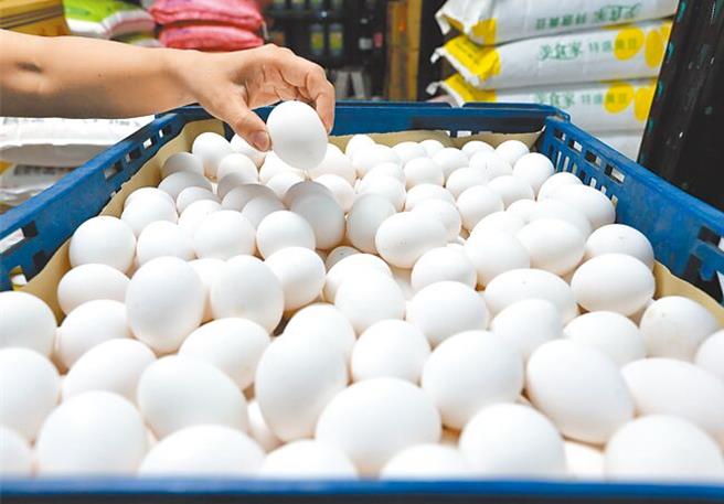 雞蛋產地價格低靡，又遇飼料價格調漲，導致不少蛋農壓力大，對此農業部表示，將建議財政部延長免徵玉米進口營業稅政策，以降低飼料上漲壓力。（本報系資料照）