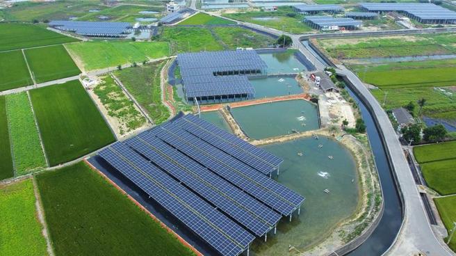永鑫能源嘉义渔电共生案场。图／永鑫能源提供