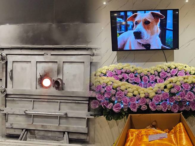 為11歲愛犬辦告別式，永別那一刻家人情緒崩潰。(飼主蔡小姐提供)