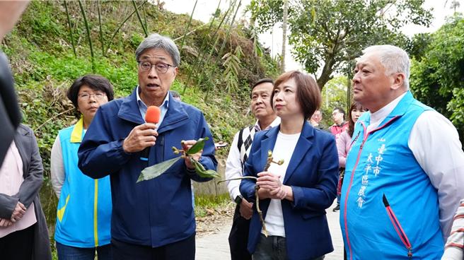 立委何欣純19日邀農業部長陳駿季到台中太平大湖桶枇杷產專區農地實地勘察枇杷災損。（馮惠宜攝）