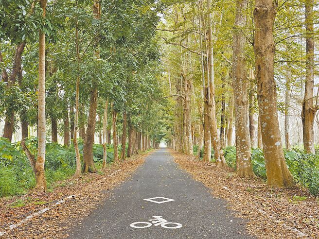 屏东县政府推动低碳旅游，提升单车游憩环境，串联糖铁周边南州糖厂及万金教堂等观光景点。（罗琦文摄）