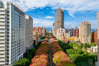 洗刷地獄惡名？全球步行便利城市 台灣2地上榜