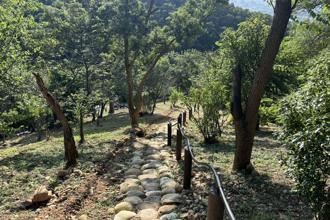 大甲铁砧山新玩法 桂花泉登山步道换新貌 体验手作步道之美