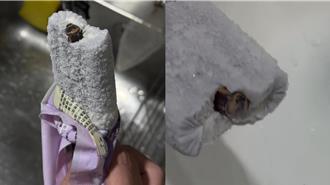 情侣超商吃冰惊见蟑螂「咬断一条腿」业者道歉回应了