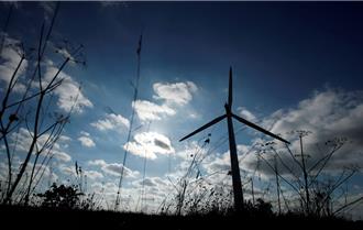 绿色和平：欧洲利用北非再生能源「漂绿」 损害当地经济