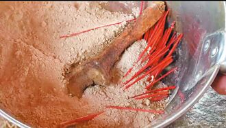 黑狗狂吠 北斗天后宮香爐被埋人骨