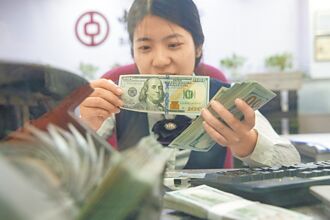 陸穩外資 寬貸款擴投資