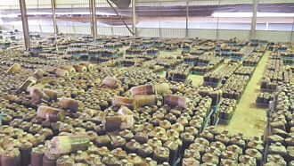 新社香菇減產4成 農會找解方