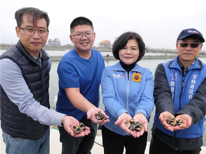 云林县政府为解决文蛤减产、暴毙情况，请屏东科技大学进行专案辅导，渔民收成明显提升，县府20日表示未来将扩大辅导，永续文蛤养殖产业。（张朝欣摄）