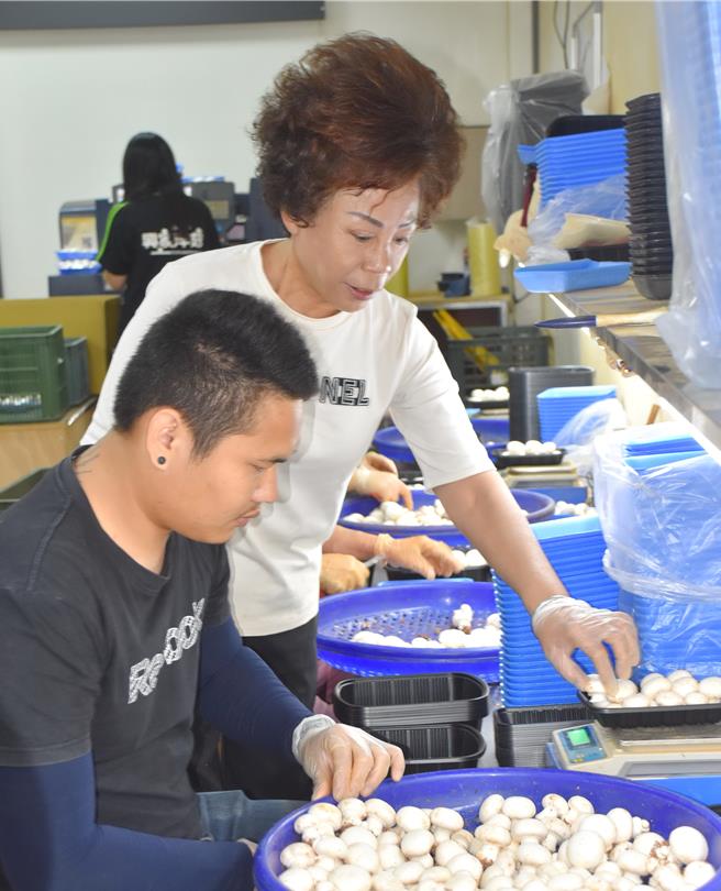 李美玲（右）为现任竹塘乡洋菇产销班班长，种植洋菇17年，荣获第32届、第34届全国模范农民。（李美玲提供／叶静美彰化传真）