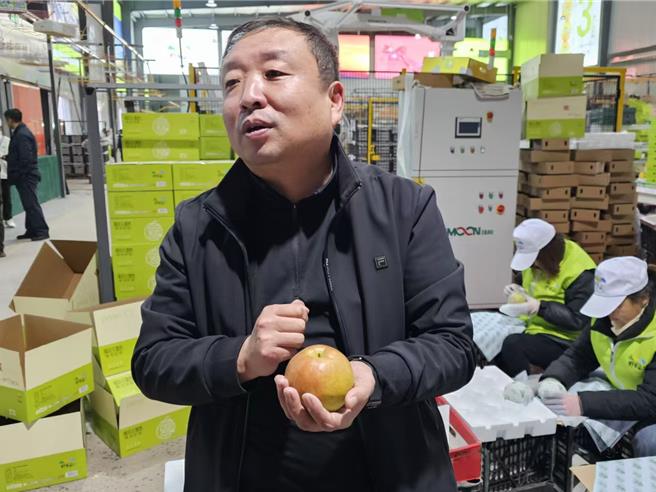 被誉为「梨中爱马仕」，山西隰县玉露香梨口感清甜细腻。（蓝孝威摄）