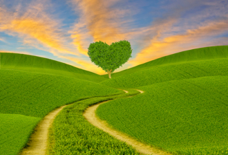 桃花就在眼前！2星座、生肖勇敢表白能找到真愛